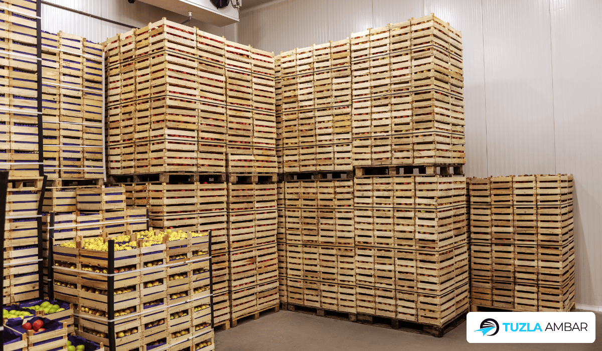 Paletli Yük Taşıma